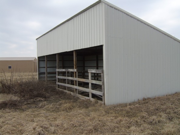 Building a Small Cattle Shed